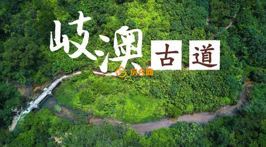 11月底完工！岐澳古道三乡雍陌示范段将重现清朝风貌